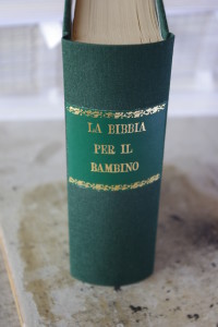IMGP4507
